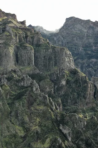 Madeira 5 — Madeira